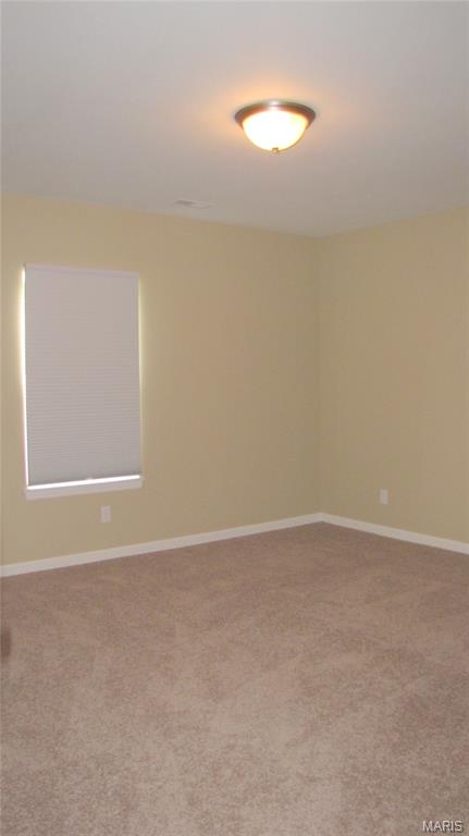 110 Fallon Villa Court Property Photo 13
