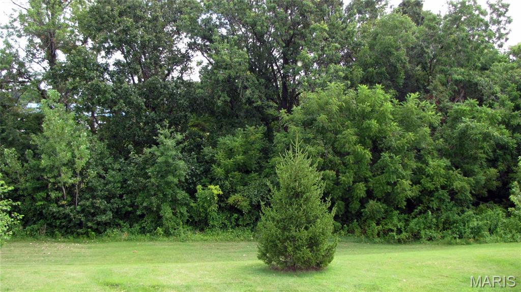110 Fallon Villa Court Property Photo 15