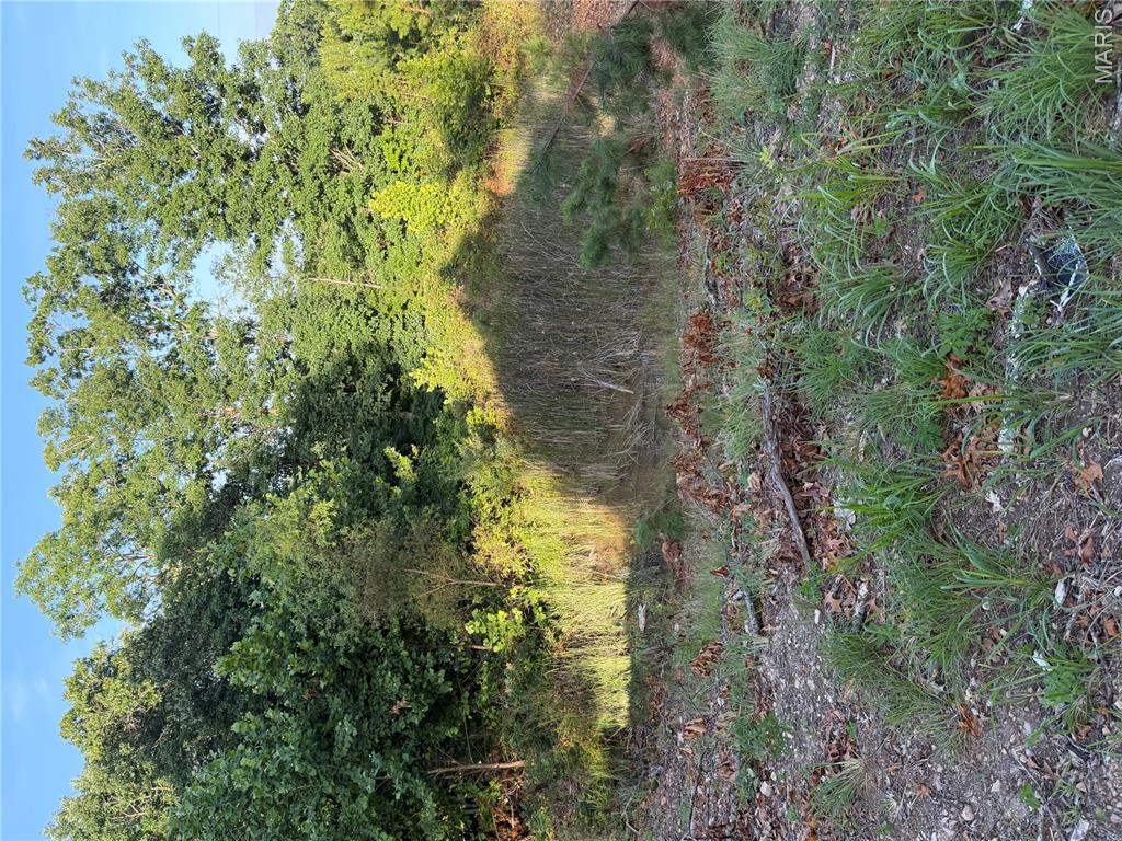 25952 State Highway 19 Property Photo 21