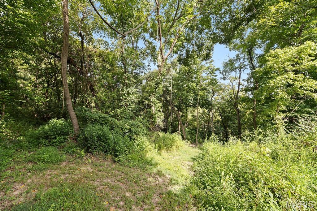 206 Pamela Drive Property Photo 53