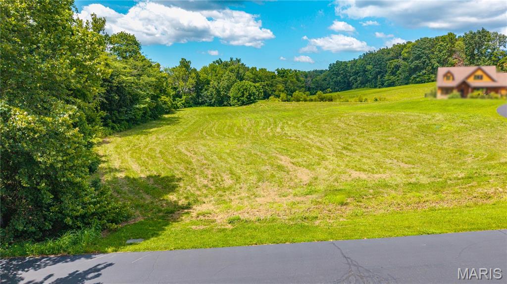 341 Linebacker Run Property Photo 13