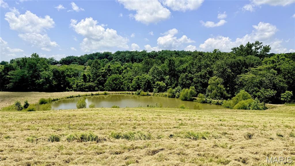 341 Linebacker Run Property Photo 16