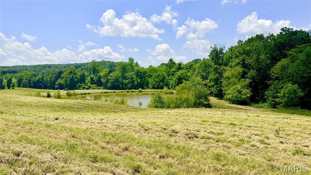 341 Linebacker Run Property Photo 18