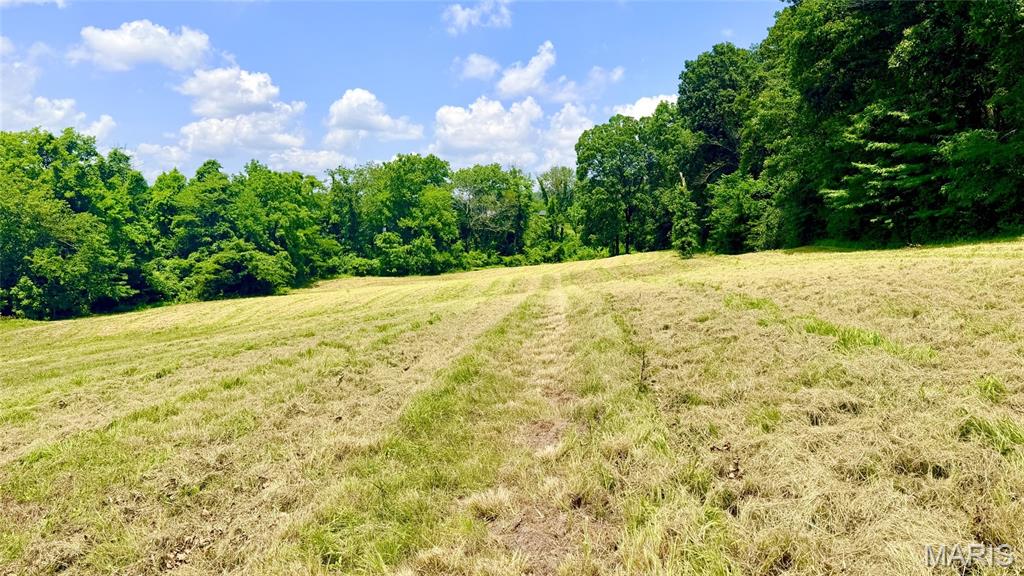 341 Linebacker Run Property Photo 24
