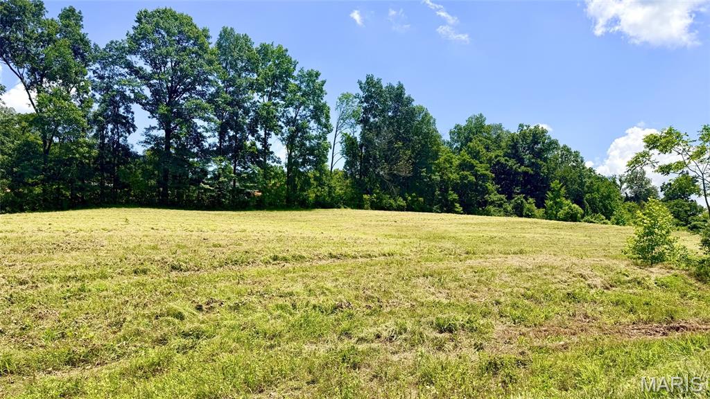 341 Linebacker Run Property Photo 26
