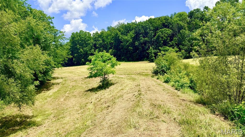 341 Linebacker Run Property Photo 27