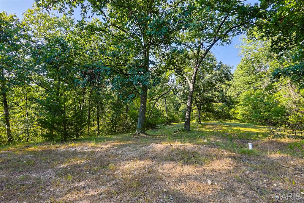 145 Eagle Ridge Lane Property Photo 21