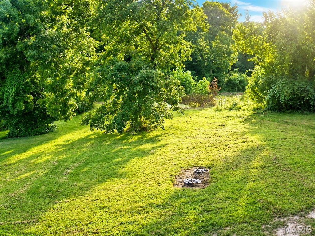 6779 Elmont Road Property Photo 10
