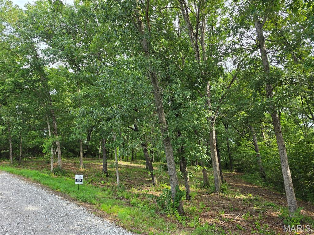 1033 Dietrich Road