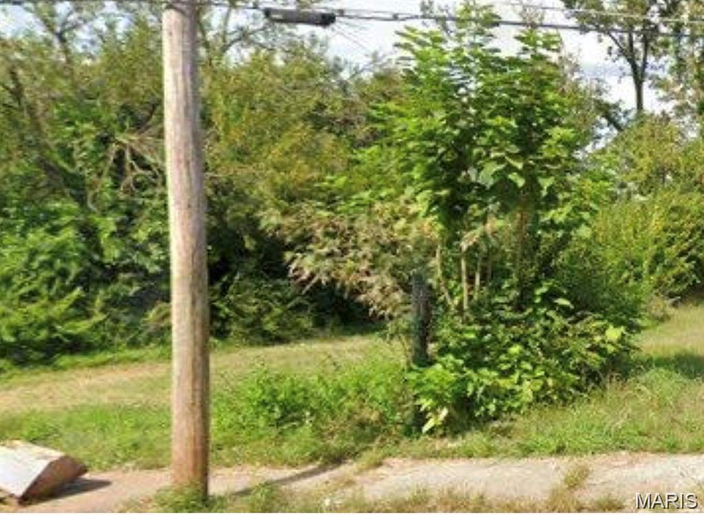3931 Lee Avenue Property Photo 1