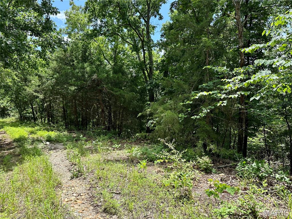 Tbd Bluebird Lane Property Photo 1