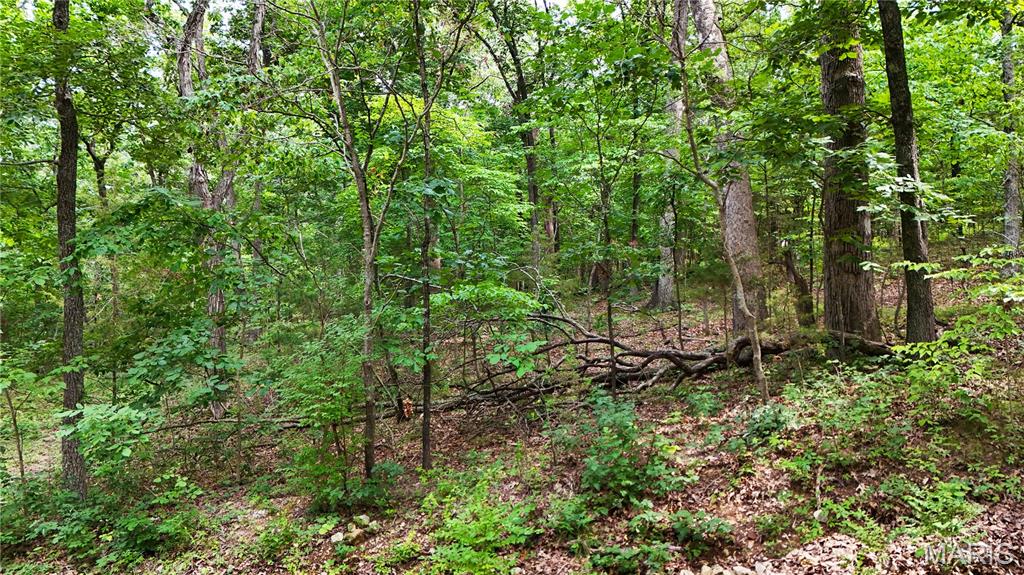 9576 Bent Tree Drive Property Photo 1