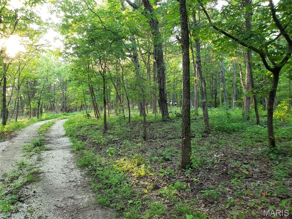6969 Twin River Road Property Photo 3
