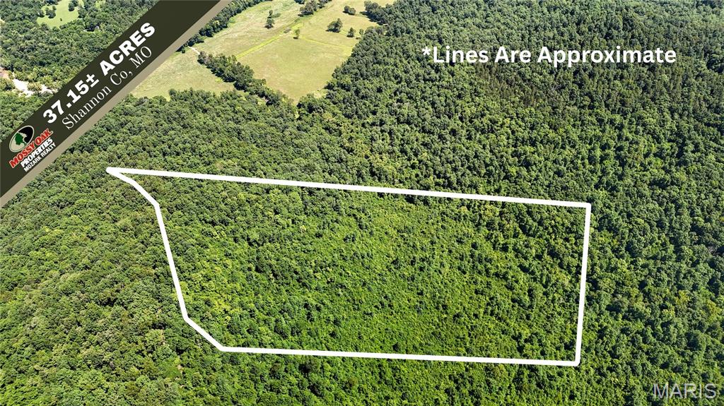 Tbd Antler Ridge Subdivision Property Photo 1