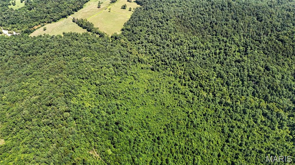 Tbd Antler Ridge Subdivision Property Photo 9