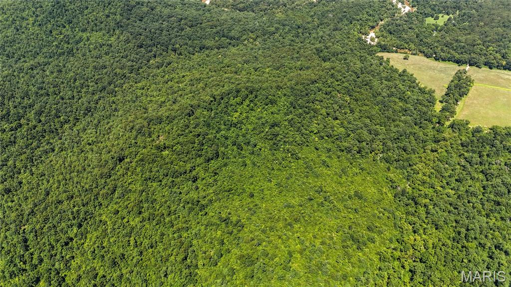 Tbd Antler Ridge Subdivision Property Photo 12