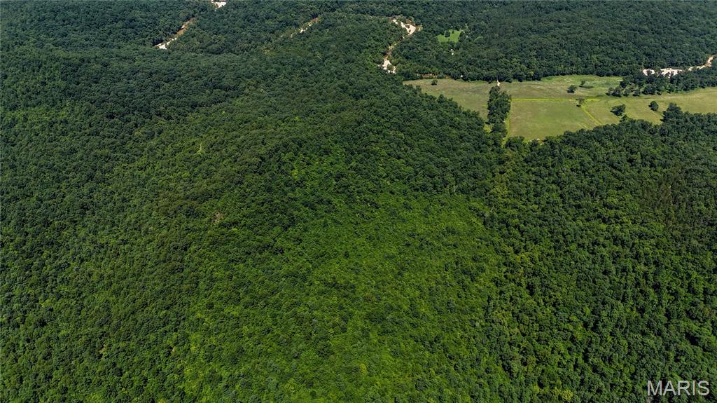 Tbd Antler Ridge Subdivision Property Photo 14