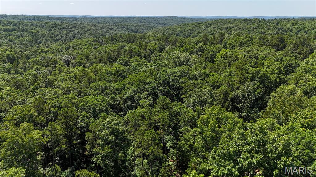 Tbd Antler Ridge Subdivision Property Photo 18
