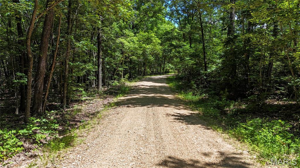 Tbd Antler Ridge Subdivision Property Photo 19