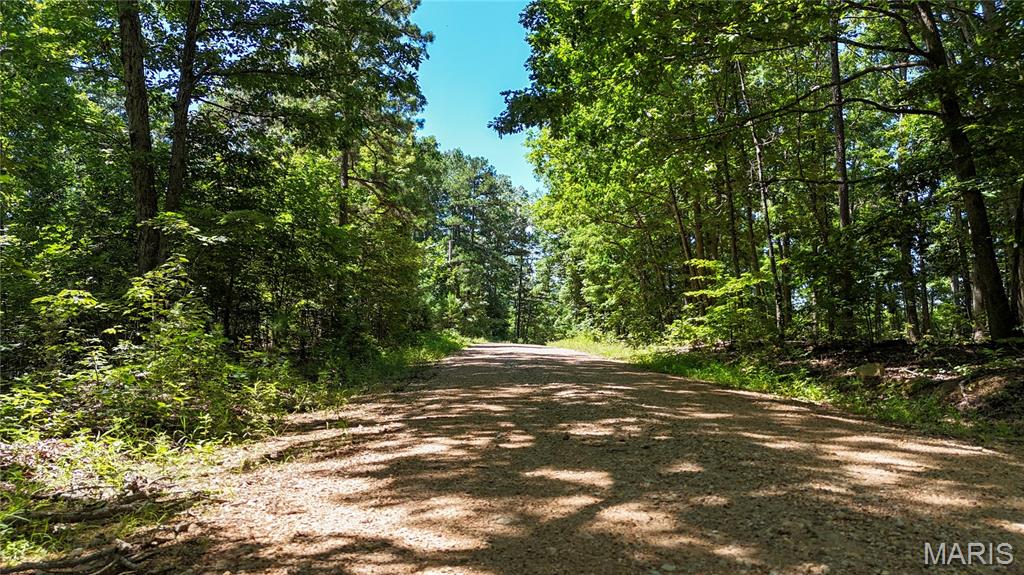 Tbd Antler Ridge Subdivision Property Photo 20