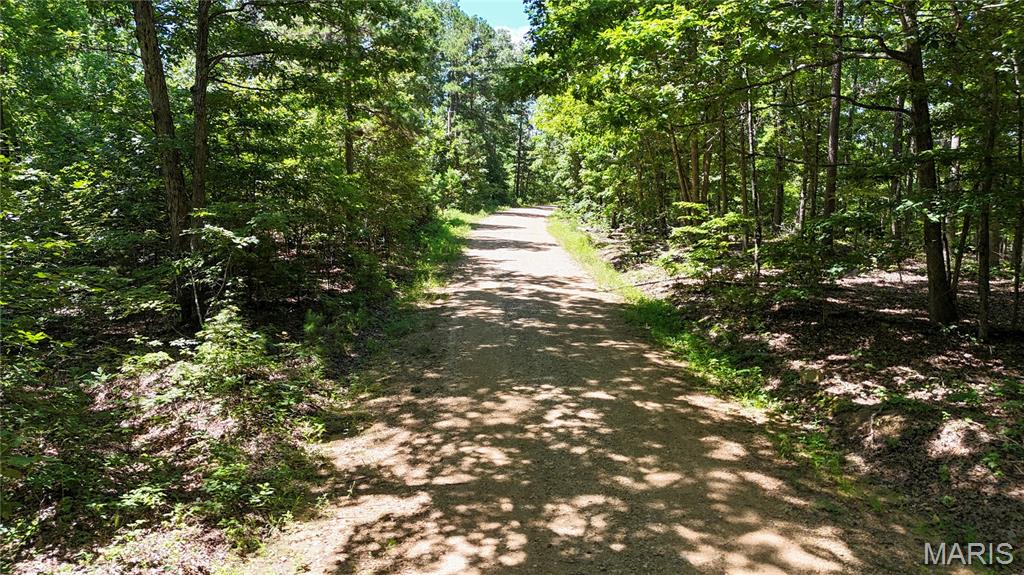 Tbd Antler Ridge Subdivision Property Photo 21