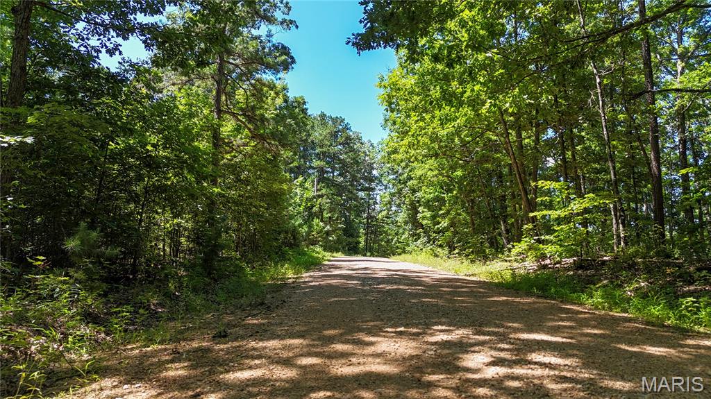 Tbd Antler Ridge Subdivision Property Photo 22