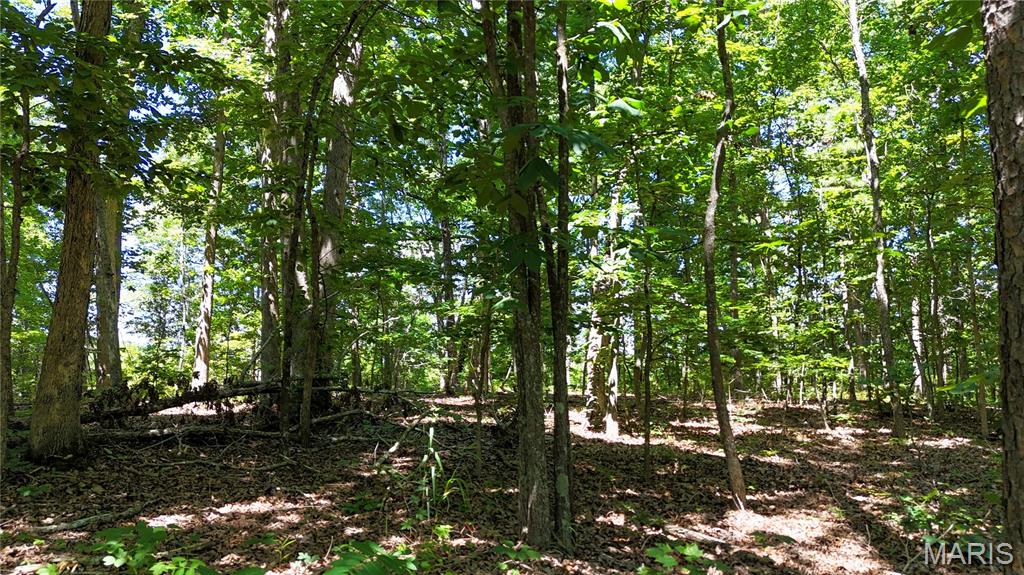 Tbd Antler Ridge Subdivision Property Photo 23