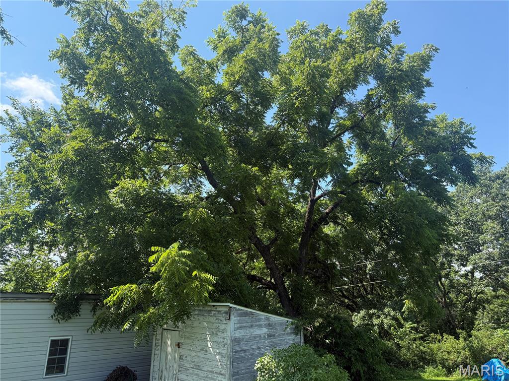 3749 Lahmeyer Road Property Photo 28