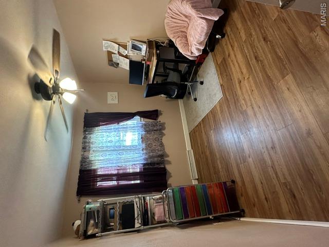 3 Nelson Street Property Photo 13