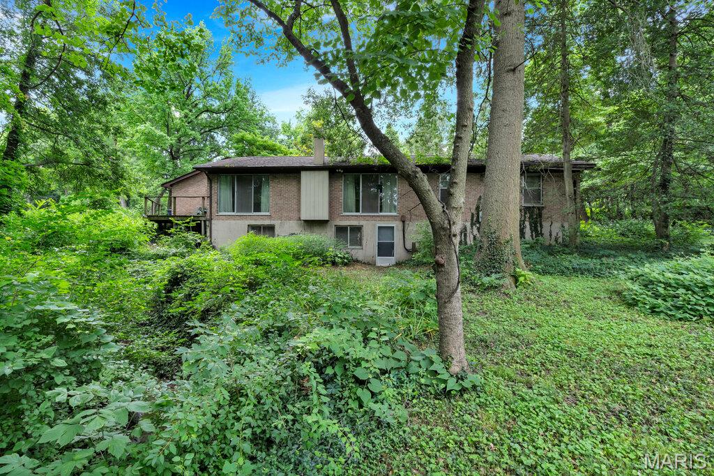 10 Sassafras Manor Property Photo 37