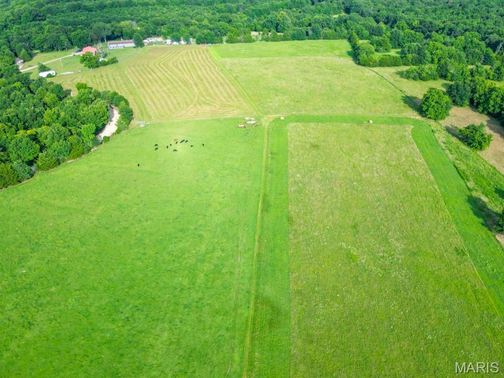 33020 Hall Rd Property Photo 4