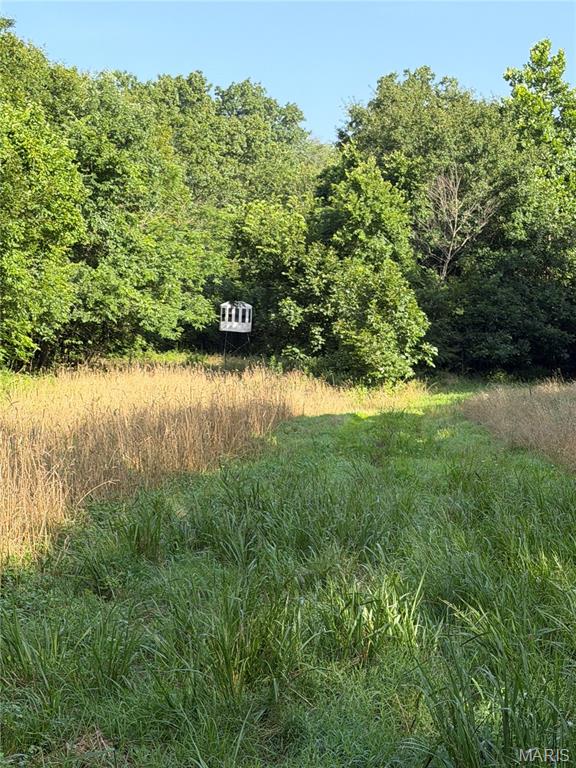 33020 Hall Rd Property Photo 19