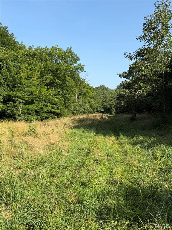 33020 Hall Rd Property Photo 20