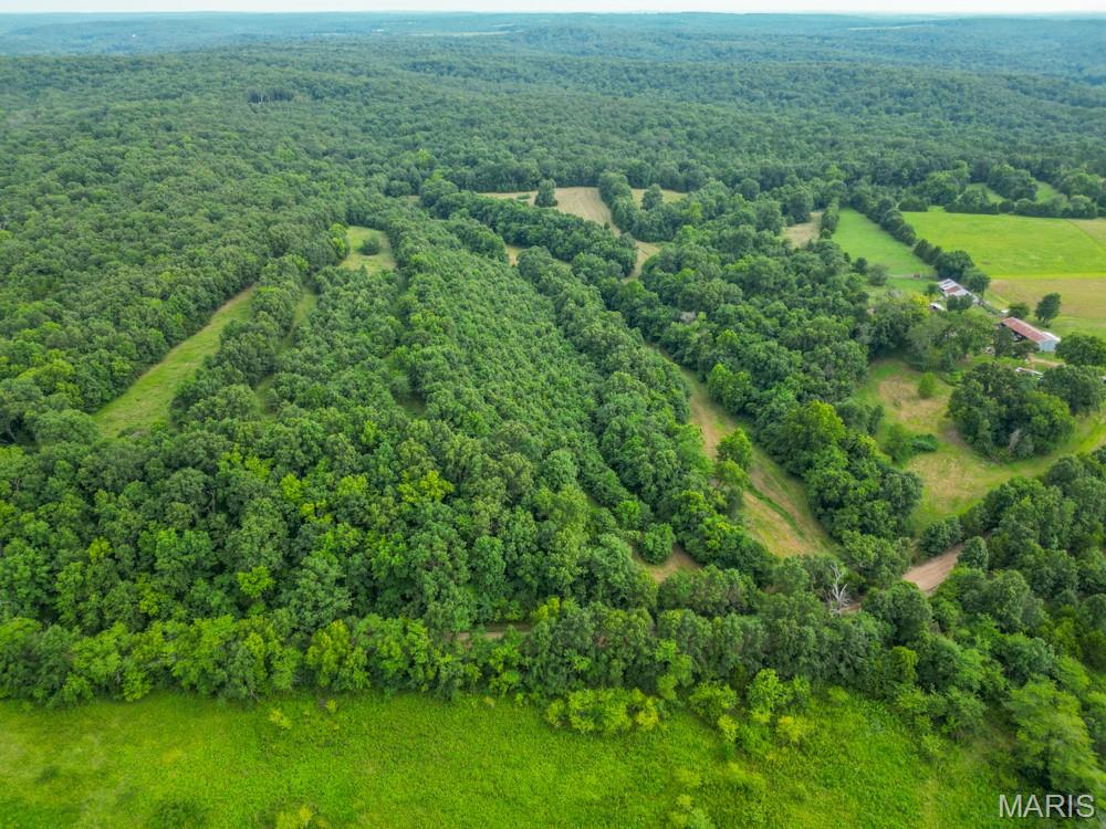 33020 Hall Rd Property Photo 48