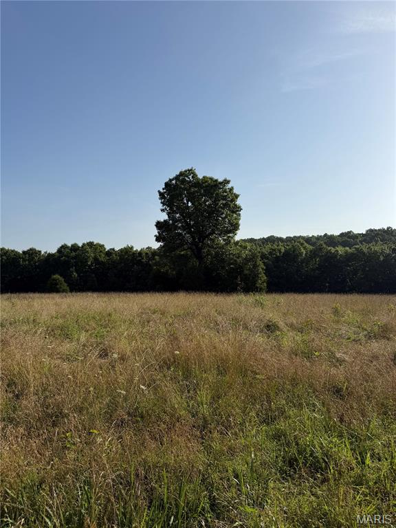 33020 Hall Rd Property Photo 66