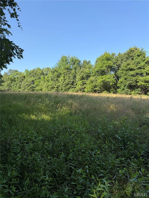 33020 Hall Rd Property Photo 67