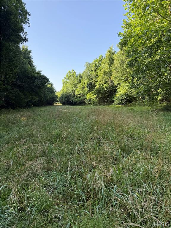 33020 Hall Rd Property Photo 68