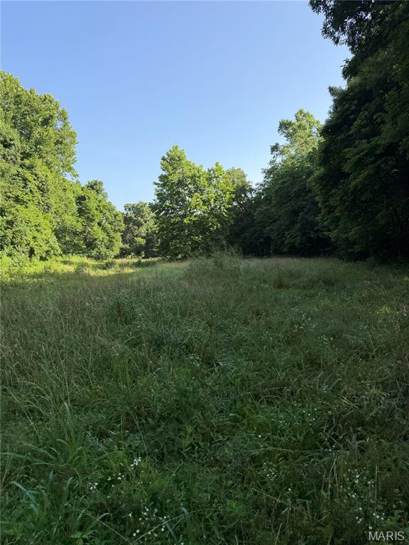 33020 Hall Rd Property Photo 69