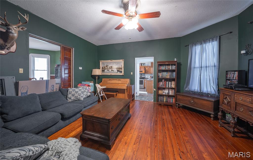 203 Springfield Road Property Photo 8