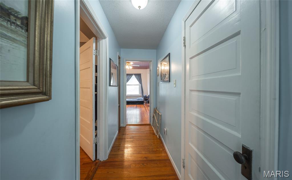 203 Springfield Road Property Photo 15