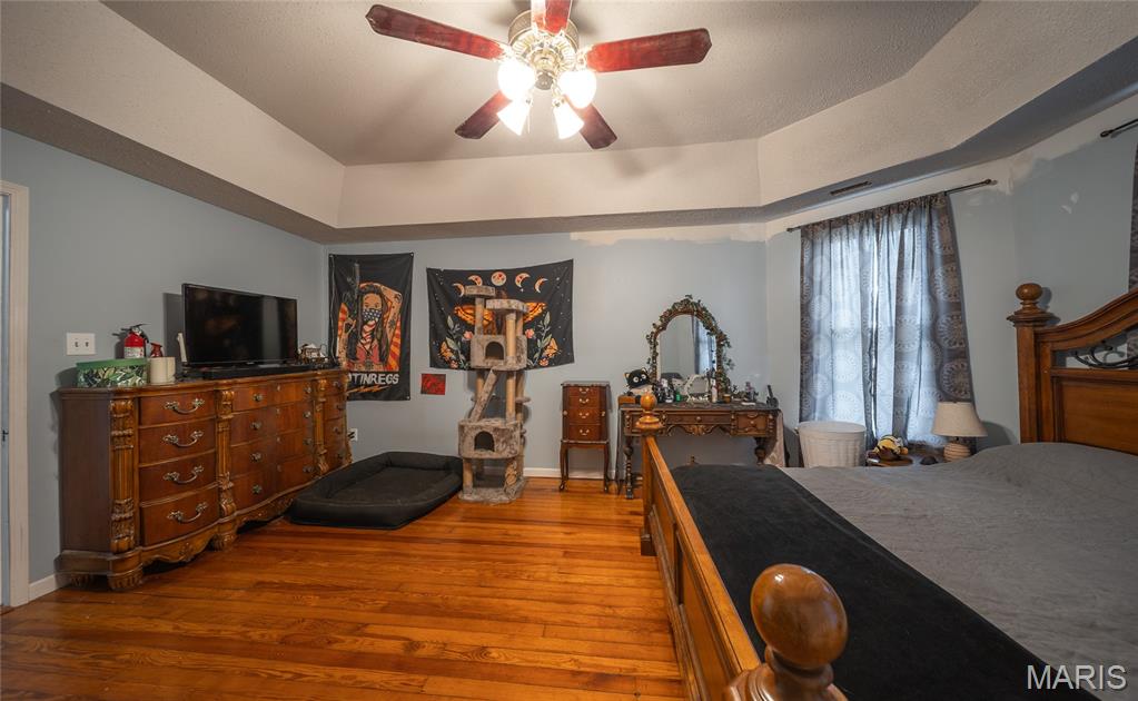 203 Springfield Road Property Photo 17