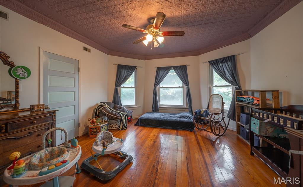 203 Springfield Road Property Photo 18