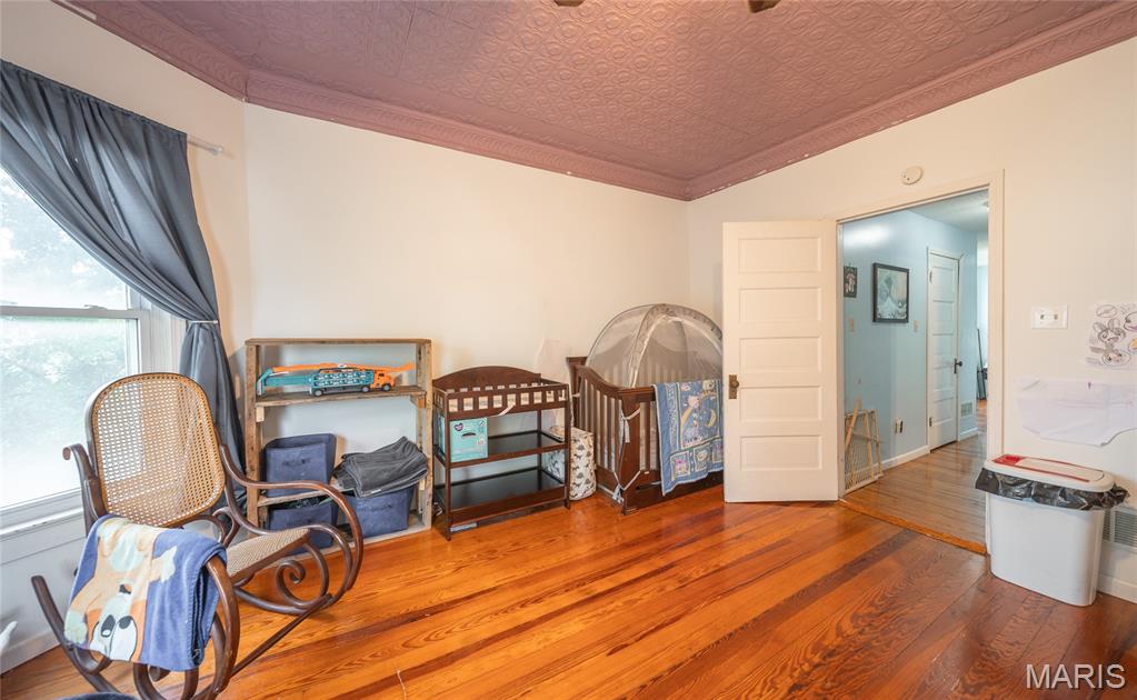 203 Springfield Road Property Photo 19