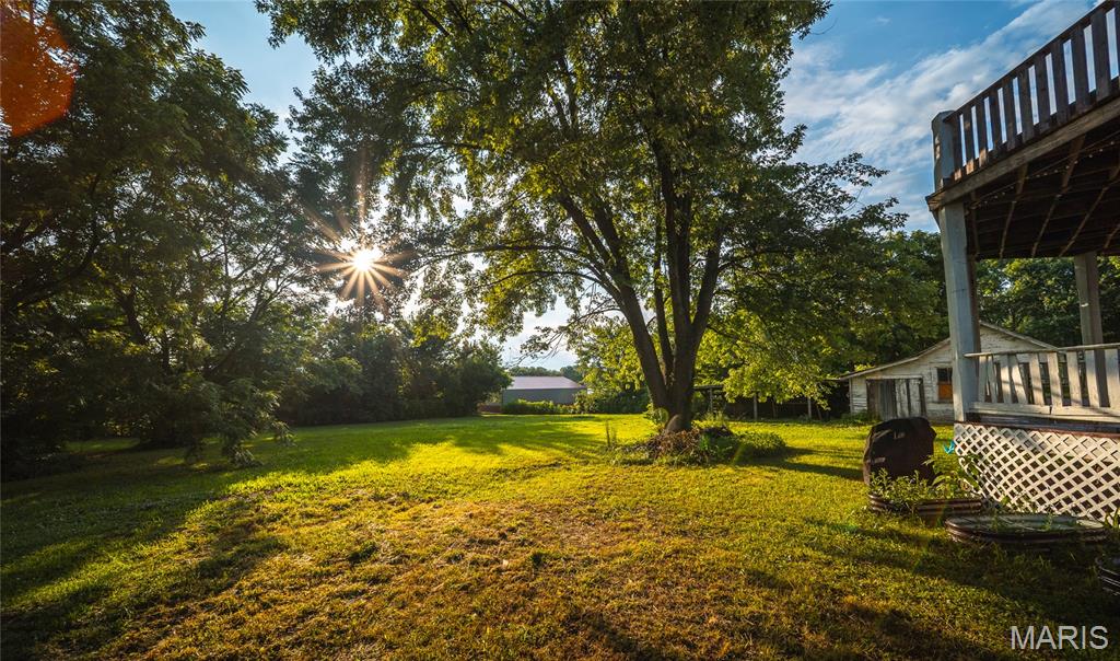203 Springfield Road Property Photo 28