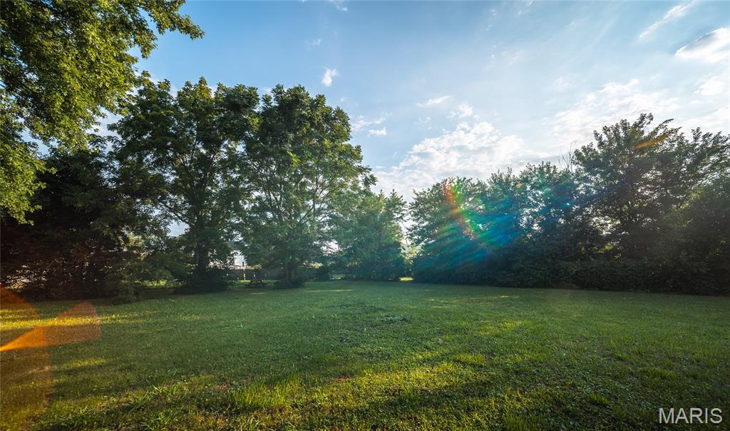 203 Springfield Road Property Photo 31