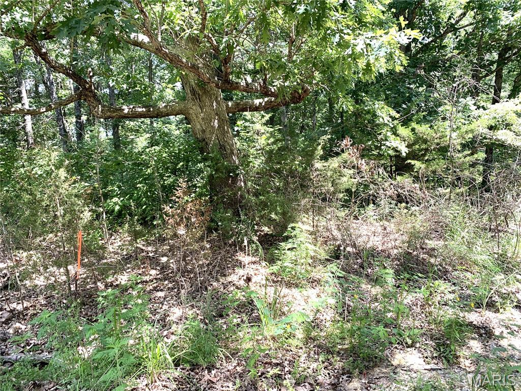 0 Magnolia Blossom Drive Property Photo 1