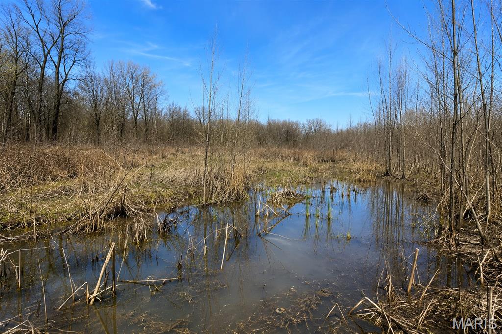 0 State Highway 53 Property Photo 1