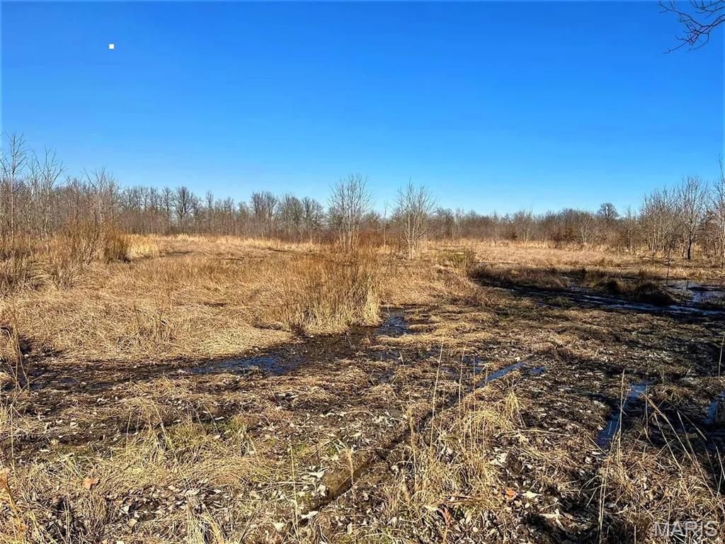 0 State Highway 53 Property Photo 6