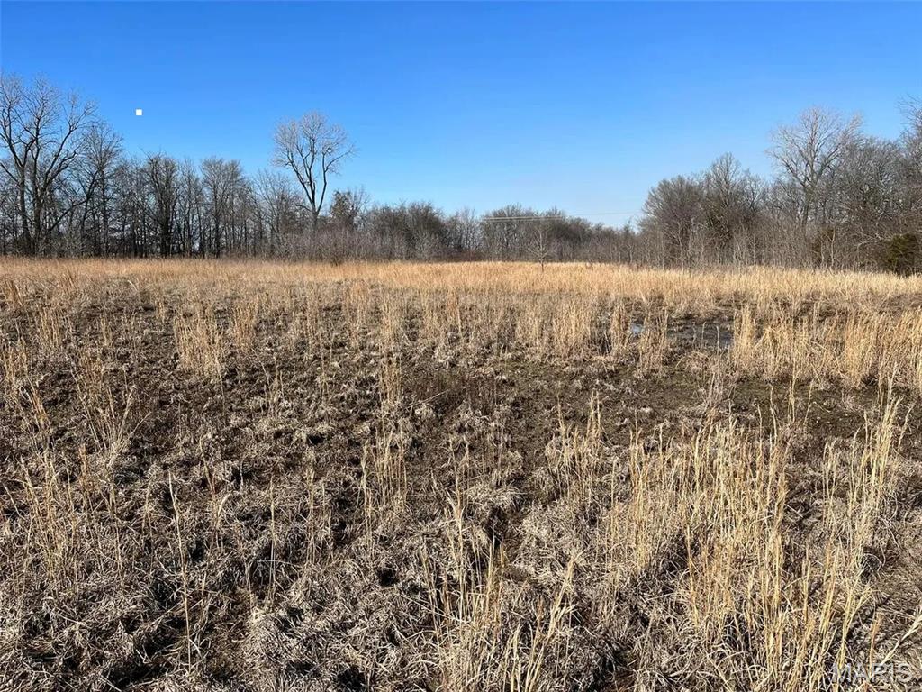 0 State Highway 53 Property Photo 8