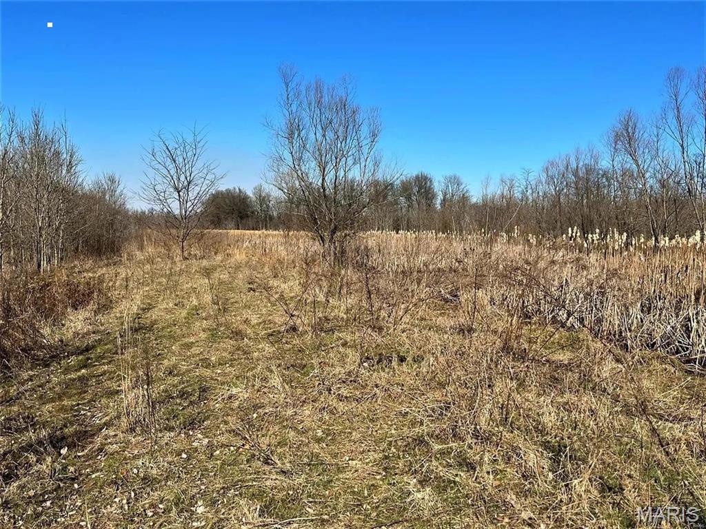 0 State Highway 53 Property Photo 9